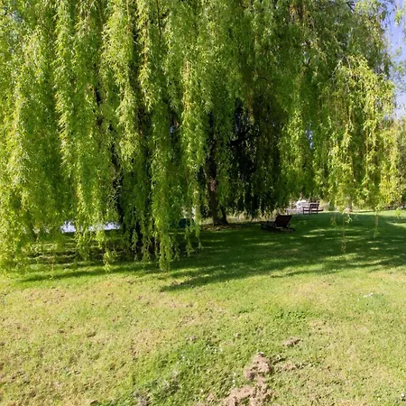 Holiday home Avec Etang Prive, Piscine Partagee Et Wifi En Dordogne - Fr-1-616-194 Naussannes